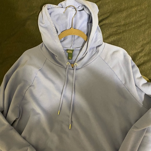 Wild fable blue cropped hoodie
